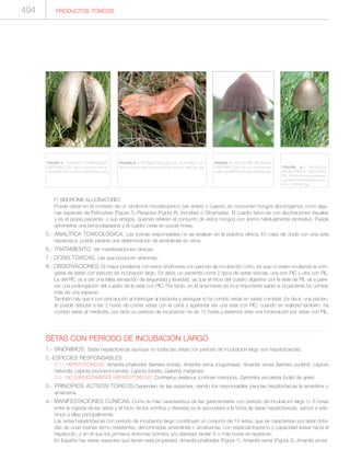 Manual de toxicologia