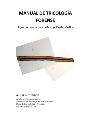 MANUAL DE TRICOLOGÍA
FORENSE
Aspectos básicos para la descripción de cabellos

NESSTOR PILCO FERRETO
Bachiller en Ciencias Biológicas.
Universidad Nacional Jorge Basadre Grohmann.
Oficina de Criminalística – Arequipa.
npilcoferreto@gmail.com

 