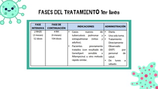 FASES DEL TRATAMIENTO 1er linea
 
