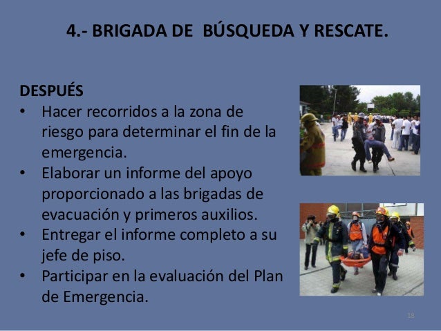 Brigada De Búsqueda Y Rescate Antes Durante Y Después