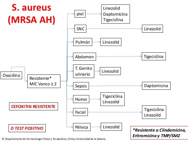 Linezolid Mrsa Mic
