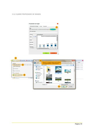 Página 18
2.11 CUADRO PROPIEDADES DE IMAGEN
 