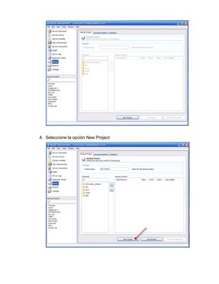 4. Seleccione la opción New Project:
 
