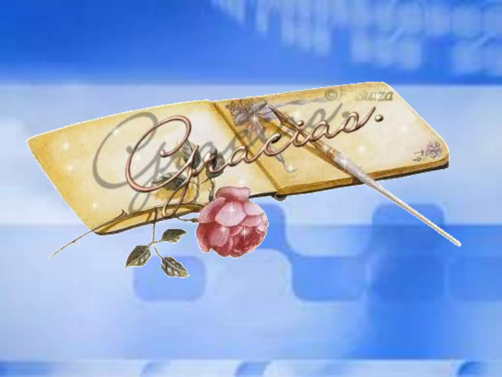 Manual de usuarios último