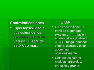 ContraindicacionesContraindicaciones
 Hipersensibilidad aHipersensibilidad a
cualquiera de loscualquiera de los
componentes de lacomponentes de la
vacuna . Fiebre devacuna . Fiebre de
38.5°C, o más.38.5°C, o más.
ETAVETAV
 Esta vacuna tiene unEsta vacuna tiene un
perfil de seguridadperfil de seguridad
excelente, Irritación,excelente, Irritación,
eritema, dolor ,Fiebre ≥eritema, dolor ,Fiebre ≥
38.5ºC, fatiga, náuseas,38.5ºC, fatiga, náuseas,
vómito, diarrea y dolorvómito, diarrea y dolor
abdominal,abdominal,
ocasionalmenteocasionalmente
 Cefalea, calosfríos,Cefalea, calosfríos,
mialgias, artralgias,mialgias, artralgias,
erupción y pruritoerupción y prurito..
 