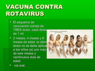 VACUNA CONTRAVACUNA CONTRA
ROTAVIRUSROTAVIRUS
 El esquema deEl esquema de
vacunación consta devacunación consta de
TRES dosis, cada dosisTRES dosis, cada dosis
de 1 mlde 1 ml
 2 meses, 4 meses y 62 meses, 4 meses y 6
meses de edad, la últimameses de edad, la última
dosis no se debe aplicardosis no se debe aplicar
a los niños (a) con mása los niños (a) con más
de seis meses yde seis meses y
veintinueve días deveintinueve días de
edad.edad.
 vía oral.vía oral.
 