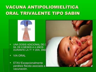 VACUNA ANTIPOLIOMIELÍTICAVACUNA ANTIPOLIOMIELÍTICA
ORAL TRIVALENTE TIPO SABINORAL TRIVALENTE TIPO SABIN
 UNA DOSIS ADICIONAL DE 0.1UNA DOSIS ADICIONAL DE 0.1
ML DE 6 MESES A 4 AÑOSML DE 6 MESES A 4 AÑOS
DURANTE LA 1ª. Y 2DA. SNSDURANTE LA 1ª. Y 2DA. SNS
 VIA ORALVIA ORAL
 ETAV:ExcepcionalmenteETAV:Excepcionalmente
parálisis flácida asociada a laparálisis flácida asociada a la
vacunación.vacunación.
 