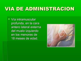 VIA DE ADMINISTRACIONVIA DE ADMINISTRACION
 Vía intramuscularVía intramuscular
profunda, en la caraprofunda, en la cara
antero lateral externaantero lateral externa
del muslo izquierdodel muslo izquierdo
en los menores deen los menores de
18 meses de edad.18 meses de edad.
 
