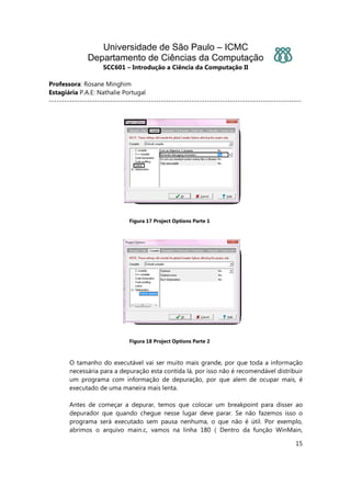 Universidade de São Paulo – ICMC
Departamento de Ciências da Computação
SCC601 – Introdução a Ciência da Computação II
Professora: Rosane Minghim
Estagiária P.A.E: Nathalie Portugal
---------------------------------------------------------------------------------------------------
15
Figura 17 Project Options Parte 1
Figura 18 Project Options Parte 2
O tamanho do executável vai ser muito mais grande, por que toda a informação
necessária para a depuração esta contida lá, por isso não é recomendável distribuir
um programa com informação de depuração, por que alem de ocupar mais, é
executado de uma maneira mais lenta.
Antes de começar a depurar, temos que colocar um breakpoint para disser ao
depurador que quando chegue nesse lugar deve parar. Se não fazemos isso o
programa será executado sem pausa nenhuma, o que não é útil. Por exemplo,
abrimos o arquivo main.c, vamos na linha 180 ( Dentro da função WinMain,
 