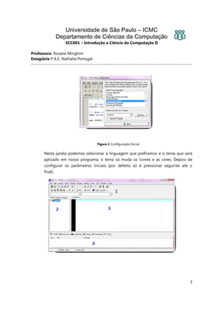 Universidade de São Paulo – ICMC
Departamento de Ciências da Computação
SCC601 – Introdução a Ciência da Computação II
Professora: Rosane Minghim
Estagiária P.A.E: Nathalie Portugal
---------------------------------------------------------------------------------------------------
3
Figura 1 Configuração Inicial
Nesta janela podemos selecionar a linguagem que prefiramos e o tema que será
aplicado em nosso programa, o tema só muda os ícones e as cores. Depois de
configurar os parâmetros iniciais (por defeito só é pressionar seguinte até o
final).
 
