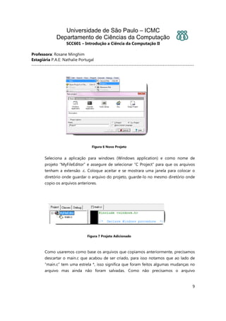 Universidade de São Paulo – ICMC
Departamento de Ciências da Computação
SCC601 – Introdução a Ciência da Computação II
Professora: Rosane Minghim
Estagiária P.A.E: Nathalie Portugal
---------------------------------------------------------------------------------------------------
9
Figura 6 Novo Projeto
Seleciona a aplicação para windows (Windows application) e como nome de
projeto “MyFileEditor” e assegure de selecionar “C Project” para que os arquivos
tenham a extensão .c. Coloque aceitar e se mostrara uma janela para colocar o
diretório onde guardar o arquivo do projeto, guarde-lo no mesmo diretório onde
copio os arquivos anteriores.
Figura 7 Projeto Adicionado
Como usaremos como base os arquivos que copiamos anteriormente, precisamos
descartar o main.c que acabou de ser criado, para isso notamos que ao lado de
“main.c” tem uma estrela *, isso significa que foram feitos algumas mudanças no
arquivo mas ainda não foram salvadas. Como não precisamos o arquivo
 