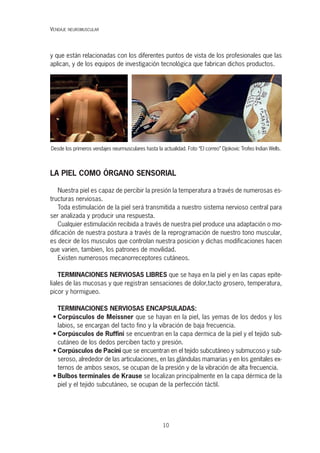 10
y que están relacionadas con los diferentes puntos de vista de los profesionales que las
aplican, y de los equipos de investigación tecnológica que fabrican dichos productos.
LA PIEL COMO ÓRGANO SENSORIAL
Nuestra piel es capaz de percibir la presión la temperatura a través de numerosas es-
tructuras nerviosas.
Toda estimulación de la piel será transmitida a nuestro sistema nervioso central para
ser analizada y producir una respuesta.
Cualquier estimulación recibida a través de nuestra piel produce una adaptación o mo-
dificación de nuestra postura a través de la reprogramación de nuestro tono muscular,
es decir de los musculos que controlan nuestra posicion y dichas modificaciones hacen
que varien, tambien, los patrones de movilidad.
Existen numerosos mecanorreceptores cutáneos.
TERMINACIONES NERVIOSAS LIBRES que se haya en la piel y en las capas epite-
liales de las mucosas y que registran sensaciones de dolor,tacto grosero, temperatura,
picor y hormigueo.
TERMINACIONES NERVIOSAS ENCAPSULADAS:
• Corpúsculos de Meissner que se hayan en la piel, las yemas de los dedos y los
labios, se encargan del tacto fino y la vibración de baja frecuencia.
• Corpúsculos de Ruffini se encuentran en la capa dermica de la piel y el tejido sub-
cutáneo de los dedos perciben tacto y presión.
• Corpúsculos de Pacini que se encuentran en el tejido subcutáneo y submucoso y sub-
seroso, alrededor de las articulaciones, en las glándulas mamarias y en los genitales ex-
ternos de ambos sexos, se ocupan de la presión y de la vibración de alta frecuencia.
• Bulbos terminales de Krause se localizan principalmente en la capa dérmica de la
piel y el tejido subcutáneo, se ocupan de la perfección táctil.
VENDAJE NEUROMUSCULAR
Desde los primeros vendajes neurmusculares hasta la actualidad. Foto “El correo” Djokovic Trofeo Indian Wells.
 