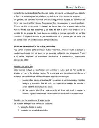 Manual de Vivero
Página 162
consistencia dura (pastosa).También se puede apretar la semilla contra un papel y
si deja una mancha grasosa o brillosa, es indicio de buen estado de madurez.
En general, las semillas maduras presentan tegumentos rígidos, su contenido es
firme y se muestran bien llenas. Algunas semillas no pasan por el estado pastoso.
Torsión de los frutos (para coníferas): se toman las piñas o conos con ambas
manos desde sus dos extremos y se trata de dar al cono una rotación en el
sentido de las agujas del reloj. Luego se realiza la misma operación en sentido
contrario. Si al practicar esta acción las escamas de la pina crujen, es señal que
los conos están en condiciones de ser cosechados.
Técnicas de recolección de frutos y semillas
Hay varias técnicas para recolectar frutos y semillas. Antes de salir a realizar la
recolección trabaje con los alumnos las técnicas y elijan la más adecuada. Previo
a la salida, preparen los materiales necesarios. A continuación, describimos
algunas de ellas:
Recolección del suelo
Esta técnica incluye la recolección de semillas y frutos que se han caído de
árboles en pie, o de árboles caídos. Es la manera más sencilla de recolectar el
material. Este método de recolección tiene algunas desventajas.
• Las semillas caídas al suelo están expuestas a sufrir daños por insectos,
hongos y animales. Por lo tanto, es importante recoger la semilla lo
antes posible después de su caída.
• No se puede identificar exactamente el árbol del cual proviene la
semilla, y por lo tanto no se sabe si tiene las características deseables.
Recolección de semillas de árboles en pie
Se pueden distinguir dos formas de cosecha:
1. cosecha desde el suelo;
2. cosecha escalando los árboles.
 