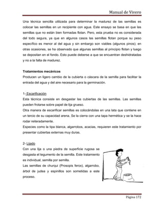 Manual de Vivero
Página 172
Una técnica sencilla utilizada para determinar la madurez de las semillas es
colocar las semillas en un recipiente con agua. Este ensayo se basa en que las
semillas que no están bien formadas flotan. Pero, esta prueba no es considerada
del todo segura, ya que en algunos casos las semillas flotan porque su peso
específico es menor al del agua y sin embargo son viables (algunos pinos); en
otras ocasiones, se ha observado que algunas semillas al principio flotan y luego
se depositan en el fondo. Esto puede deberse a que se encuentran deshidratadas
y no a la falta de madurez.
Tratamientos mecánicos
Producen un ligero cambio de la cubierta o cáscara de la semilla para facilitar la
entrada del agua y del aire necesario para la germinación.
1- Escarificación
Esta técnica consiste en desgastar las cubiertas de las semillas. Las semillas
pueden frotarse sobre papel de lija grueso.
Otra manera de escarificar semillas es colocándolas en una lata que contiene en
un tercio de su capacidad arena. Se la cierra con una tapa hermética y se la hace
rodar reiteradamente.
Especies como la tipa blanca, algarrobos, acacias, requieren este tratamiento por
presentar cubiertas externas muy duras.
2- Lijado
Con una lija o una piedra de superficie rugosa se
desgasta el tegumento de la semilla. Este tratamiento
es individual, semilla por semilla.
Las semillas de churqui (Prosopis ferox), algarrobo,
árbol de judea y espinillos son sometidas a este
proceso.
 