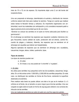Manual de Vivero
Página 53
trato de 10 a 15 cm de espesor. Es importante dejar unos 2 cm del borde del
recipiente libres.
Una vez preparado el almacigo, desinfectado el sustrato y distribuido de manera
uniforme estará todo listo para realizar la siembra. Tenga en cuenta que realizar
estas tareas le llevarán tiempo y esfuerzo. Es importante organizarse con an-
terioridad, reunir los materiales con anticipación y si lo considera necesario pedir a
alguna persona de la comunidad que le dé una mano.
“Sembrar es colocar las semillas en el suelo en forma adecuada para facilitar su
germinación”.
En el almacigo se siembran las especies que requieren cuidados intensivos (rie-
gos frecuentes, buena calidad de suelo, protección del sol directo, control fre-
cuente de plagas y malezas). Además, las especies que se siembran en el
almacigo son aquellas que toleran ser trasplantadas.
Algunos ejemplos de especies que se siembran en almacigo son: eucaliptos,
casuarinas, lengas, alisos, robles, quebracho, tipas.
Tipos de siembra
Los tipos de siembra pueden ser:
a. Al voleo
b. En líneas: a su vez puede ser “a chorrillo” o “a golpes”.
a. Al voleo
Se utiliza para semillas muy pequeñas como las de eucaliptos, casuarinas, lenga,
aliso. En un kilo entran entre 1.500.000 y 2.000.000 de semillas pequeñas. En este
caso, se distribuyen las semillas en forma de fina lluvia, cubriendo la superficie
destinada a la siembra.
Para realizar esta tarea se puede utilizar una lata a la que se le realizan 2 o 3
orificios en el fondo, de un tamaño un poco mayor que el de las semillas. Una vez
cargado se agita sobre el suelo en forma de zig-zag para obtener una correcta dis-
tribución de las semillas.
Una vez realizada la siembra se cubre el suelo con una fina capa de sustrato.
 