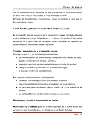 Manual de Vivero
Página 67
que las malezas inician su desarrollo. No deje que las malezas superen los 4-6 cm
de altura. Para realizar esta práctica el suelo debe estar húmedo.
El trabajo de desmalezado es más difícil de realizar en siembras al voleo que en
las realizadas en líneas.
4.2 VIA ASEXUAL (VEGETATIVA) : ESTACA, BARBADO, ACODO
La propagación asexual o agámica es la obtención de nuevos individuos (plantas)
a partir de diferentes partes de las plantas, y no a través de semillas. Estas partes
separadas de la planta que les dio origen, tienen capacidad de regenerar su
sistema radicular o formar otro sistema de ramas.
Ventajas y desventajas de la propagación asexual
Este tipo de reproducción tiene las siguientes ventajas:
• se obtienen plantas en menos tiempo (comparado este sistema de repro-
ducción con el sistema a través de semillas);
• es posible reproducir plantas resulta dificultoso por medio de semillas;
• se logran plantas muy similares a las que les dieron origen;
• el manejo a nivel vivero es más sencillo.
Por otra parte, las desventajas son las siguientes:
• se obtiene una menor producción por unidad de superficie;
• no permite almacenar el material de propagación por mucho tiempo;
• es necesario contar con buenas plantas madres de dónde seleccionar el
material;
• las plantas obtenidas por este sistema envejecen más rápido.
Métodos para reproducir asexualmente las plantas
Multiplicación por estacas: parte de la rama separada de la planta madre con
yemas vivas que desarrolla raíces en el lugar de la plantación definitiva.
 