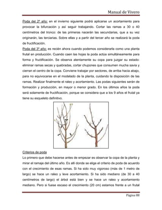 Manual de Vivero
Página 88
Poda del 2º año: en el invierno siguiente podrá aplicarse un acortamiento para
provocar la bifurcación y así seguir trabajando. Cortar las ramas a 30 o 40
centímetros del tronco: de las primeras nacerán las secundarias, que a su vez
originarán, las terciarias. Sobre ellas y a partir del tercer año se realizará la poda
de fructificación.
Poda del 3º año: es recién ahora cuando podemos considerarla como una planta
frutal en producción. Cuando caen las hojas la poda actúa simultáneamente para
forma y fructificación. Se observa atentamente su copa para juzgar su estado:
eliminar ramas secas y quebradas, cortar chupones que consumen mucha savia y
cierran el centro de la copa. Conviene trabajar por sectores, de arriba hacia abajo,
para no equivocarse en el modelado de la planta, cuidando la disposición de las
ramas. Realizar finalmente el raleo y acortamiento. Las podas siguientes serán de
formación y producción, en mayor o menor grado. En los últimos años la poda
será solamente de fructificación, porque se considera que a los 9 años el frutal ya
tiene su esqueleto definitivo.
Criterios de poda
Lo primero que debe hacerse antes de empezar es observar la copa de la planta y
mirar el ramaje del último año. Es allí donde se elige el criterio de poda de acuerdo
con el crecimiento de esas ramas. Si ha sido muy vigoroso (más de 1 metro de
largo) se hace un raleo y leve acortamiento. Si ha sido mediano (de 30 a 40
centímetros de largo) el árbol está bien y se hace un raleo y acortamiento
mediano. Pero si fuese escaso el crecimiento (20 cm) estamos frente a un frutal
 