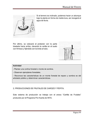 Manual de Vivero
Página 99
Si el terreno es inclinado, podemos hacer un alcorque
bajo la planta en forma de media luna, así recogerá el
agua de lluvia.
Por último, se colocará el protector con la parte
biselada hacia arriba, clavando la varilla en el suelo
con firmeza y fijándola con la brida al tubo.
Actividad
- Plantan una cortina forestal o monte de sombra.
- Observan ejemplares forestales.
- Reconoce las características de un monte forestal de reparo y sombra es del
arbolado público y determinan características.
2. PRODUCCIONES DE FRUTALES DE CAROZO Y PEPITA.
Este sistema de producción se trabaja con el anexo “Cartilla de Frutales”
producido por el Programa Pro Huerta de INTA.
 