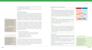ELEMENTOS DE LA ENVOLVENTE
¿SABÍAS QUE...?
Aislar térmicamente las
paredes, techos y pisos
puede llegar a representar
una reducción del consumo
de energía para su
acondicionamiento térmico
entre 35 % y 70 %.
MANUAL DE VIVIENDA SUSTENTABLE / 02. DISEÑO
32 33
Las estrategias de diseño bioclimático incluyen medidas de dise-
ño y características constructivas.
Las medidas más importantes a tener en cuenta a la hora de di-
señar son:
AISLACIÓN TÉRMICA
La envolvente arquitectónica es parte de un sistema físico que
abarca el ambiente interior, exterior y cerramientos. Sirve para pro-
teger del clima; forma parte del acabado del participa en su
estabilidad estructural; favorece o impide el asoleamiento; permite
la iluminación y ventilación natural; facilita el intercambio de aire;
posibilita las vistas al exterior; y, en el mejor de los casos, genera
energía para consumo propio y/o para cederla a la red de energía.
La aislación térmica de la envolvente de una vivienda es uno de
los puntos más importantes para reducir el consumo de energía
por calefacción, refrigeración e iluminación. También es funda-
mental aislar instalaciones tales como cañerías y tanques. Una
vivienda bioclimática depende, en gran medida, de la aislación
térmica de la envolvente, su orientación e implantación. La ener-
gía requerida para acondicionar térmicamente una vivienda de-
pende, entre otros, de:
❱ datos climáticos del lugar,
❱ volumen, forma, resistencia y orientación del
❱ condiciones internas de confort solicitadas por las
reglamentaciones y/o normas,
❱ térmica de la envolvente,
❱ estanqueidad al agua y al aire.
La térmica de la envolvente está directamente relacio-
nada con la transmitancia térmica de los materiales y/o sistemas
que forman la envolvente de la vivienda. La envolvente de una
casa está formada por todos los elementos de construcción que
están en contacto con el exterior. Estos son: pisos, cubierta, mu-
ros y aberturas (puertas y ventanas).
Calculo según Norma
IRAM 11601,
según IRAM 11.605.
La depende
de la temperatura mínima
de diseño de la
Norma IRAM 11603.
AISLACIÓN TÉRMICA
DE LA ENVOLVENTE
En virtud de la Resolución
9-E/2017, vigente desde el
05/07/2017, se adoptó el
Nivel IRAM B para todas las
viviendas construidas en el
Marco del Plan Nacional de
Vivienda.
http://servicios.infoleg.gob.
ar/infolegInternet/
anexos/275000-279999
/276620/norma.htm
NORMA
VERANO INVIERNO
1
2
4
3
1 MUROS
Los muros implican la mayor en contacto con el exterior, es
por eso que el uso de materiales con gran capacidad de aislación térmi-
ca permite reducir la variación de temperaturas entre interior y exterior.
En los materiales aislantes más utilizados, tales como Poliestireno
Expandido, Fibra de Vidrio, Fibra Mineral, Espuma de Poliuretano o
Celulosa Proyectada, se recomiendan densidades de no menos de
20 kg/m3. Esto colabora también con la aislación acústica.
2 CUBIERTA
La cubierta, llamada también la 5º fachada, está expuesta a radia-
ción solar y sujeta a la mayor pérdida y ganancia de temperatura
debido a su ubicación respecto del sol y los vientos.
Una fórmula simple para la aislación del techo es duplicarla
respecto de la de los muros.
3 PISO
Si bien la tierra en sí misma presenta cierta estabilidad térmica, es
necesario incluir aislación para alcanzar los estándares requeridos.
En climas templados (zonas III y IV) la aislación perimetral brinda
ventajas. En zonas V y VI, la aislación perimetral es adecuada para
evitar condensación en la unión del piso con el muro exterior.
La aislación térmica de pisos tiene limitada ventaja en climas cáli-
dos (zonas I y II).
4 ABERTURAS
Para lograr una aislación térmica adecuada, también es importante el
tratamiento de las aberturas. Las puertas exteriores y las ventanas
deben tener una aislación adecuada y evitar ﬁltraciones de aire en
todos sus componentes.
En climas fríos, cuando se trata de carpinterías metálicas, se aconseja
la utilización con RPT (Ruptura de Puente Térmico). En caso de
carpinterías de madera y PVC, no se requiere su utilización.
En zonas III, IV, V y V se justiﬁca el uso de DVH (Doble Vidriado
Hemético).
En viviendas de climas cálidos y húmedos (zonas I y II), con venti-
lación cruzada, el uso de DVH no es tan importante por la limitada
diferencia términa interior- exterior.
 