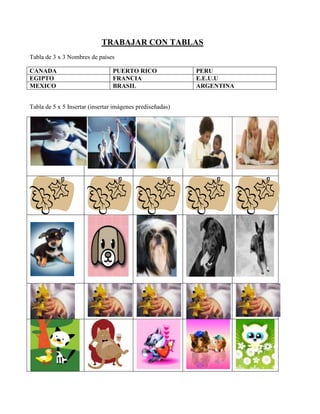TRABAJAR CON TABLAS
Tabla de 3 x 3 Nombres de países
CANADA PUERTO RICO PERU
EGIPTO FRANCIA E.E.U.U
MEXICO BRASIL ARGENTINA
Tabla de 5 x 5 Insertar (insertar imágenes prediseñadas)
 
