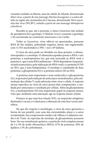 14
Secretaria de Vigilância em Saúde
variantes isoladas na Rússia, uma da cidade de Irkutsk, denominada
Irkut virus, a partir de um morcego Murina leucogaster, e a outra ob-
tida na região das montanhas do Cáucaso, denominada West cauca-
sian bat virus (WCBV), isolada a partir de um morcego Miniopterus
schreibersi.
Ressalta-se que, até o presente, o único Lissavírus não isolado
de quirópteros foi o genótipo 3 (Mokola virus) e somente o genótipo
1 foi encontrado no continente americano e no Caribe.
Todos os Lyssavirus, vírus rábicos ou aparentados, possuem
RNA de fita simples, polaridade negativa, linear, não segmentado,
com 11.932 nucleotídeos e PM = 4,6 x 106
daltons.
O vírus da raiva pode ser dividido em duas porções: o ribonu-
cleocapsídeo e o envelope. O ribonucleocapsídeo possui o RNA e três
proteínas: a nucleoproteína (n), que está associada ao RNA viral; a
proteína L, que é uma RNA polimerase – RNA dependente (responsá-
vel pela transcrição e pela replicação do RNA viral), e a proteína P (NS
ou M1), que é uma fosfoproteína. O envelope é constituído de duas
proteínas: a glicoproteína (G) e a proteína matrix (M ou M2).
A proteína mais importante e mais conhecida é a glicoproteína
(G), responsável pela indução de anticorpos neutralizantes, pela esti-
mulação das células T e pela adsorção entre vírus e célula. A resposta
imune específica ao vírus da raiva possui dois componentes: a me-
diada por anticorpos e a mediada por células. Além da glicoproteína
(G), a nucleoproteína (N) tem importante papel na resposta imune,
visto que, mediante uma interação, age na resposta imune celular.
Destaca-se que uma boa relação N/G, na suspensão antigênica
destinada à vacina, é o ideal para a obtenção de uma boa vacina anti-
rábica.
No que diz respeito à morfologia, o vírus da raiva apresenta a
forma de um projétil, com uma das extremidades plana e a outra
arredondada. Seu comprimento médio é de 180nm e o diâmetro mé-
dio é de 75nm. As espículas do envelope, de glicoproteína, possuem
9nm. Na sua constituição química, a partícula viral completa possui
de 2 a 3% de ácido ribonucléico (RNA), 67% de proteínas, 26% de
lipídeos e 3% de carboidratos.
 