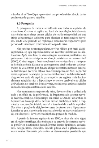 16
Secretaria de Vigilância em Saúde
minadas vírus “fixos”, que apresentam um período de incubação curto,
geralmente de quatro a sete dias.
1.3 Patogenia
A patogenia da raiva é semelhante em todas as espécies de
mamíferos. O vírus se replica no local da inoculação, inicialmente
nas células musculares ou nas células do tecido subepitelial, até que
atinja concentração suficiente para alcançar as terminações nervo-
sas, sendo este período de replicação extraneural responsável pelo
período de incubação relativamente longo da raiva.
Nas junções neuromusculares, o vírus rábico, por meio da gli-
coproteína, se liga especificamente ao receptor nicotínico da ace-
tilcolina. Após essa fase, os vírus atingem os nervos periféricos, se-
guindo um trajeto centrípeto, em direção ao sistema nervoso central
(SNC). O vírus segue o fluxo axoplasmático retrógrado e o transpor-
te é célula a célula. Estima-se que o genoma viral tenha um desloca-
mento de 25 a 50mm por dia, até chegar ao sistema nervoso central.
A distribuição do vírus rábico não é homogênea no SNC e, por tal
razão, a porção de eleição para encaminhamento ao laboratório de
diagnóstico varia de espécie para espécie. As regiões mais habitu-
almente atingidas são: o hipocampo, o tronco cerebral e as células
de Purkinje, no cerebelo. Muitas vezes, os sintomas estão associados
com a localização anatômica no cérebro.
Nos ruminantes suspeitos de raiva, deve ser feita a colheita de
todo o encéfalo ou, de preferência, de fragmentos do sistema nervo-
so (córtex, cerebelo e hipocampo ou corno de Amon) de ambos os
hemisférios. Nos eqüídeos, deve-se enviar, também, o bulbo e frag-
mentos das porções inicial, medial e terminal da medula espinhal.
Nos cães, a porção de eleição é o corno de Amon ou o hipocampo.
Ressalta-se que, na coleta de amostras de todas as espécies (domésti-
cas ou silvestres), deve ser encaminhada porção da medula.
A partir da intensa replicação no SNC, o vírus da raiva segue
em direção centrífuga, disseminando-se através do sistema nervo-
so periférico e autônomo para diferentes órgãos (pulmões, coração,
rins, bexiga, útero, testículos, folículo piloso, etc.) e glândulas sali-
vares, sendo eliminado pela saliva. A disseminação possibilita que
 