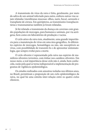 20
Secretaria de Vigilância em Saúde
A transmissão do vírus da raiva é feita, geralmente, por meio
da saliva de um animal infectado para outro, embora outras vias se-
jam relatadas (membranas mucosas: olhos, nariz, boca), aerossóis e
transplante de córnea. Em quirópteros, as transmissões transplacen-
tárias e transmamárias também já foram relatadas.
Já foi relatada a transmissão da doença em cavernas com gran-
des populações de morcegos, para humanos e animais, por via aeró-
gena, bem como em laboratórios de produção e vacina.
O ciclo aéreo da raiva tem, atualmente, uma grande importân-
cia para a manutenção do vírus em uma área geográfica. As diferen-
tes espécies de morcegos, hematófagos ou não, são susceptíveis ao
vírus, com possibilidade de transmiti-lo e de apresentar sintomato-
logia, que sempre evolui para a morte.
O ciclo silvestre é representado pela raiva nas espécies de ma-
míferos silvestres terrestres, com ênfase nos canídeos silvestres. Em
nosso meio, a real importância desse ciclo não é, ainda, bem conhe-
cida, razão pela qual se torna indispensável a implementação de pro-
gramas de vigilância epidemiológica.
Os estudos realizados com amostras isoladas nos últimos anos,
no Brasil, permitiram a proposição de um ciclo epidemiológico da
raiva, no qual há uma estreita inter-relação entre os quatro ciclos
clássicos.
 