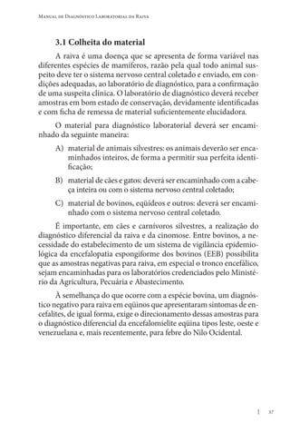 37
Manual de Diagnóstico Laboratorial da Raiva
3.1 Colheita do material
A raiva é uma doença que se apresenta de forma variável nas
diferentes espécies de mamíferos, razão pela qual todo animal sus-
peito deve ter o sistema nervoso central coletado e enviado, em con-
dições adequadas, ao laboratório de diagnóstico, para a confirmação
de uma suspeita clínica. O laboratório de diagnóstico deverá receber
amostras em bom estado de conservação, devidamente identificadas
e com ficha de remessa de material suficientemente elucidadora.
O material para diagnóstico laboratorial deverá ser encami-
nhado da seguinte maneira:
A) material de animais silvestres: os animais deverão ser enca-
minhados inteiros, de forma a permitir sua perfeita identi-
ficação;
B) material de cães e gatos: deverá ser encaminhado com a cabe-
ça inteira ou com o sistema nervoso central coletado;
C) material de bovinos, eqüídeos e outros: deverá ser encami-
nhado com o sistema nervoso central coletado.
É importante, em cães e carnívoros silvestres, a realização do
diagnóstico diferencial da raiva e da cinomose. Entre bovinos, a ne-
cessidade do estabelecimento de um sistema de vigilância epidemio-
lógica da encefalopatia espongiforme dos bovinos (EEB) possibilita
que as amostras negativas para raiva, em especial o tronco encefálico,
sejam encaminhadas para os laboratórios credenciados pelo Ministé-
rio da Agricultura, Pecuária e Abastecimento.
À semelhança do que ocorre com a espécie bovina, um diagnós-
tico negativo para raiva em eqüinos que apresentaram sintomas de en-
cefalites, de igual forma, exige o direcionamento dessas amostras para
o diagnóstico diferencial da encefalomielite eqüina tipos leste, oeste e
venezuelana e, mais recentemente, para febre do Nilo Ocidental.
 