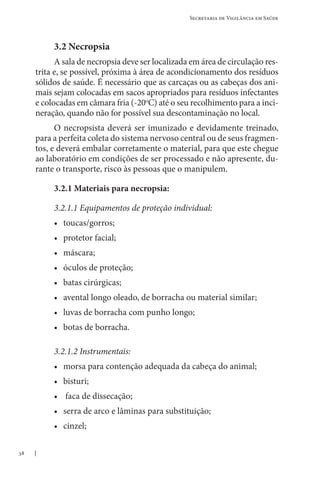 38
Secretaria de Vigilância em Saúde
3.2 Necropsia
A sala de necropsia deve ser localizada em área de circulação res-
trita e, se possível, próxima à área de acondicionamento dos resíduos
sólidos de saúde. É necessário que as carcaças ou as cabeças dos ani-
mais sejam colocadas em sacos apropriados para resíduos infectantes
e colocadas em câmara fria (-20o
C) até o seu recolhimento para a inci-
neração, quando não for possível sua descontaminação no local.
O necropsista deverá ser imunizado e devidamente treinado,
para a perfeita coleta do sistema nervoso central ou de seus fragmen-
tos, e deverá embalar corretamente o material, para que este chegue
ao laboratório em condições de ser processado e não apresente, du-
rante o transporte, risco às pessoas que o manipulem.
3.2.1 Materiais para necropsia:
3.2.1.1 Equipamentos de proteção individual:
• toucas/gorros;
• protetor facial;
• máscara;
• óculos de proteção;
• batas cirúrgicas;
• avental longo oleado, de borracha ou material similar;
• luvas de borracha com punho longo;
• botas de borracha.
3.2.1.2 Instrumentais:
• morsa para contenção adequada da cabeça do animal;
• bisturi;
• faca de dissecação;
• serra de arco e lâminas para substituição;
• cinzel;
 