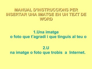 MANUAL D’INSTRUCCIONS PER INSERTAR UNA IMATGE EN UN TEXT DE WORD ,[object Object],[object Object]