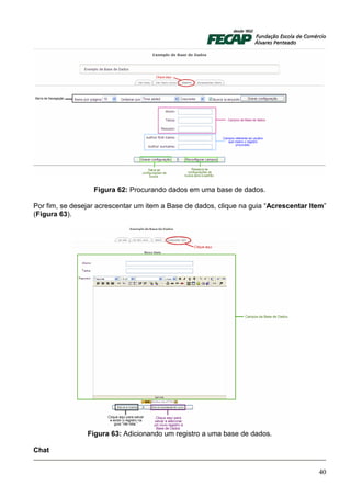 Figura 62: Procurando dados em uma base de dados.

Por fim, se desejar acrescentar um item a Base de dados, clique na guia “Acrescentar Item”
(Figura 63).




                Figura 63: Adicionando um registro a uma base de dados.

Chat


                                                                                       40
 