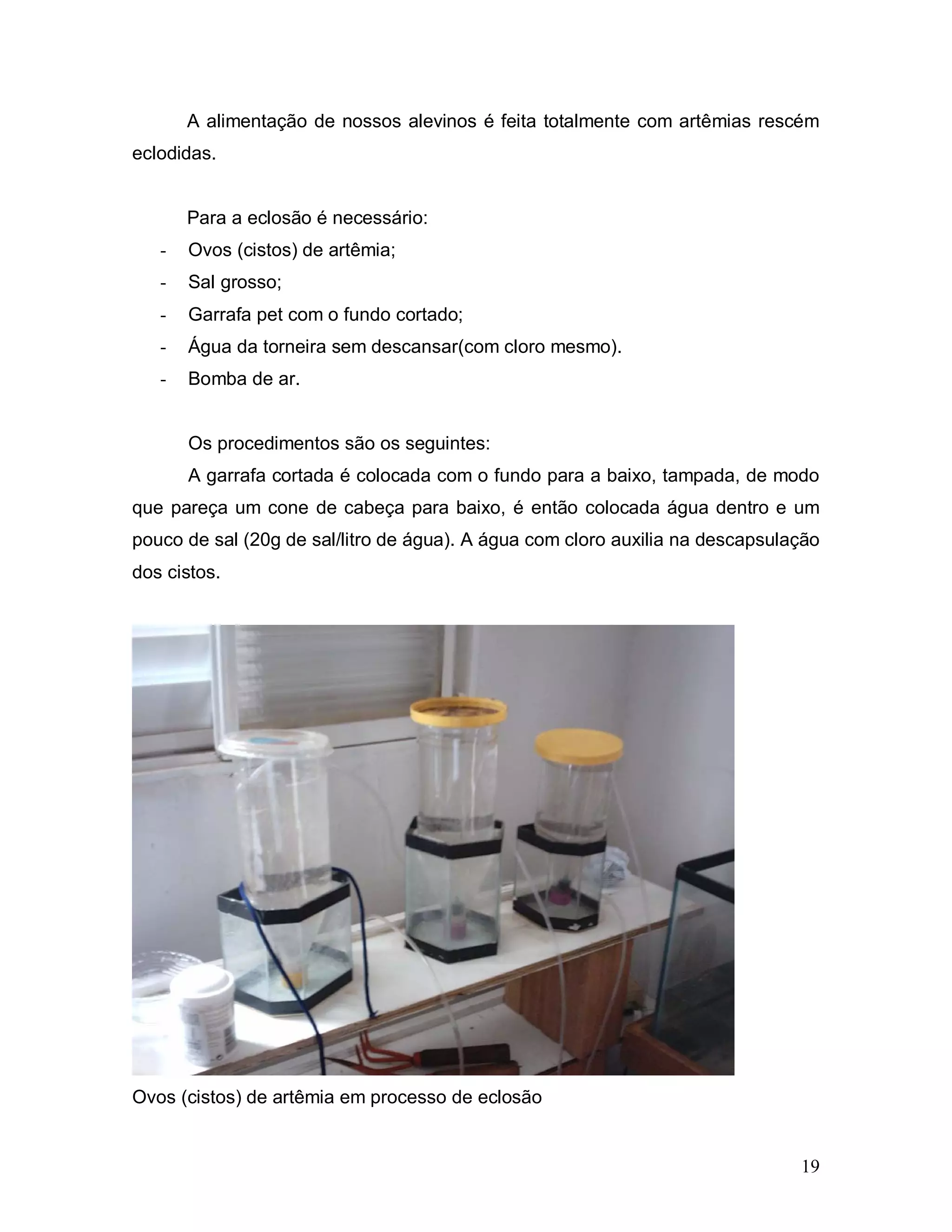 A alimentação de nossos alevinos é feita totalmente com artêmias rescém
eclodidas.


       Para a eclosão é necessário:
   -   Ovos (cistos) de artêmia;
   -   Sal grosso;
   -   Garrafa pet com o fundo cortado;
   -   Água da torneira sem descansar(com cloro mesmo).
   -   Bomba de ar.


       Os procedimentos são os seguintes:
       A garrafa cortada é colocada com o fundo para a baixo, tampada, de modo
que pareça um cone de cabeça para baixo, é então colocada água dentro e um
pouco de sal (20g de sal/litro de água). A água com cloro auxilia na descapsulação
dos cistos.




Ovos (cistos) de artêmia em processo de eclosão


                                                                               19
 