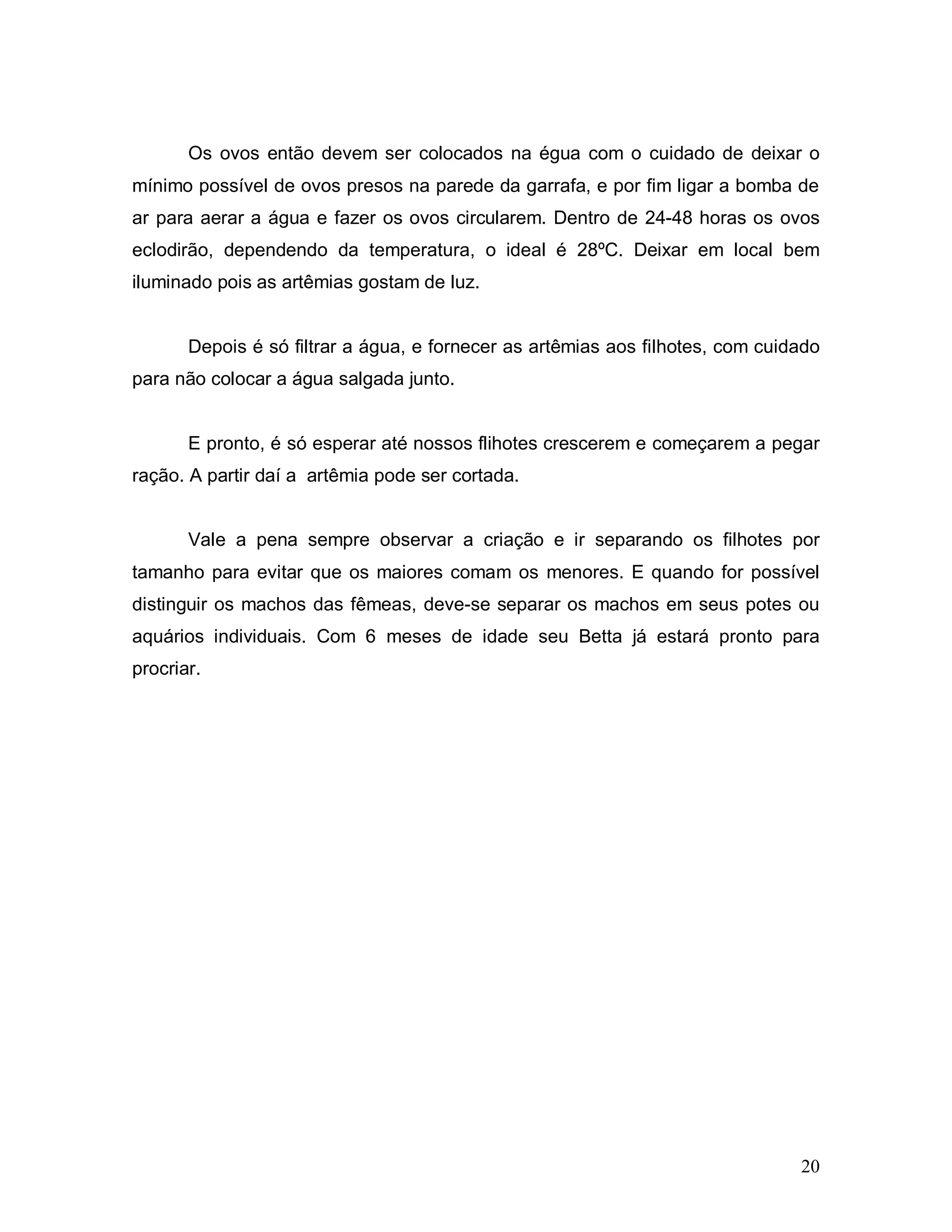 Os ovos então devem ser colocados na égua com o cuidado de deixar o
mínimo possível de ovos presos na parede da garrafa, e por fim ligar a bomba de
ar para aerar a água e fazer os ovos circularem. Dentro de 24-48 horas os ovos
eclodirão, dependendo da temperatura, o ideal é 28ºC. Deixar em local bem
iluminado pois as artêmias gostam de luz.


       Depois é só filtrar a água, e fornecer as artêmias aos filhotes, com cuidado
para não colocar a água salgada junto.


       E pronto, é só esperar até nossos flihotes crescerem e começarem a pegar
ração. A partir daí a artêmia pode ser cortada.


       Vale a pena sempre observar a criação e ir separando os filhotes por
tamanho para evitar que os maiores comam os menores. E quando for possível
distinguir os machos das fêmeas, deve-se separar os machos em seus potes ou
aquários individuais. Com 6 meses de idade seu Betta já estará pronto para
procriar.




                                                                                20
 