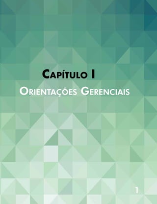 1
Capítulo I
Orientações Gerenciais
 