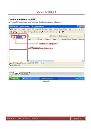 Manual do MFE 2.5 
Como é a interface do MFE 
A “Figura 38” apresenta a interface (cara) do administrador do aplicativo. 
Figura 38 
w w w . c a r l o s c a m p o s i n f o . c o m Página 36 
 