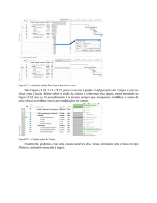 Figura9.21 – Inserindo coluna Texto2 para descrever o risco .
Nas Figuras 9.20, 9.21 e 9.23, para ter acesso à janela Configurações do Campo, é preciso
clicar com o botão direito sobre o título da coluna e selecionar esta opção, como mostrado na
Figura 9.22 abaixo. O procedimento é o mesmo sempre que desejarmos modificar o nome de
uma coluna ou realizar outras personalizações do campo.
Figura9.22 – Configurações do Campo .
Finalmente, podemos criar uma escala numérica dos riscos, utilizando uma coluna do tipo
Número, conforme mostrado a seguir.
 