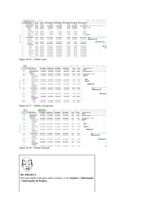 Figura 10.16 – Tabela custo .
Figura 10.17 – Tabela cronograma .
Figura 10.18 – Tabela variação .
Mr. PROJECT
Para uma rápida visão geral sobre o projeto, vá em Arquivo > Informações
> Informações do Projeto.
 