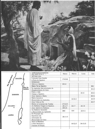 i
.§
Colocada Uma Guarda~
·I a Porta do Sepulcro
I DOMINGb
• Abre-se o Sepulcro 28:2-4
~ Maria Yaf ao Sepulcro 20:1
Os Ap6stolos Silo Informados do 20:2-5
Desaparecimento de Jesus.
Pedro e Jollo
24: 12 20:6-11
SAMARIA
Visitam o Sepulcro.
Jesus Aparece a Maria 20:11-
Maria Anuncia a
16:10,11 20:18
Ressurrei~ilo aos Ap6stolos.
Jesus Volta ao Pai 20:17
Muitos se Levantam das Tumbas 27:52,53
Jerusalem As Mulheres Chegam ao Sepulcro. 28:1,5-7 16:1-7 24:1-8
• Jesus Aparece as Mulheres 28:9,10
As Mulheres Anunciam
28:8 16:8 24:9-11
a Ressurrei~ilo aos Ap6sto1os
JUDEIA
Os Principais dos
Sacerdotes silo
Informados da
28:11-15
Ressurreicllo de Cristo
Jesus se Manifesta
a Dois Discipulos a 16:12,13 24:13,32
Caminho de Emaus.
 