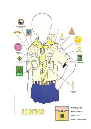 Bolso Esquerdo:

1 Fita – Sub Guia

2 Fitas – Guia

3 Fitas - Guia Alcateia
             19
 