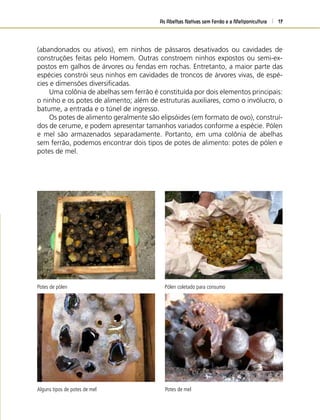 As Abelhas Nativas sem Ferrão e a Meliponicultura 17
(abandonados ou ativos), em ninhos de pássaros desativados ou cavidades de
construções feitas pelo Homem. Outras constroem ninhos expostos ou semi-ex-
postos em galhos de árvores ou fendas em rochas. Entretanto, a maior parte das
espécies constrói seus ninhos em cavidades de troncos de árvores vivas, de espé-
cies e dimensões diversiﬁcadas.
Uma colônia de abelhas sem ferrão é constituída por dois elementos principais:
o ninho e os potes de alimento; além de estruturas auxiliares, como o invólucro, o
batume, a entrada e o túnel de ingresso.
Os potes de alimento geralmente são elipsóides (em formato de ovo), construí-
dos de cerume, e podem apresentar tamanhos variados conforme a espécie. Pólen
e mel são armazenados separadamente. Portanto, em uma colônia de abelhas
sem ferrão, podemos encontrar dois tipos de potes de alimento: potes de pólen e
potes de mel.
Potes de pólen Pólen coletado para consumo
Alguns tipos de potes de mel Potes de mel
 