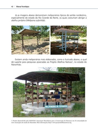 Manual Tecnológico42
Já as imagens abaixo demonstram meliponários típicos do sertão nordestino,
especialmente do estado do Rio Grande do Norte, os quais costumam abrigar a
abelha jandaíra (Melipona subnitida).
Existem ainda meliponários mais elaborados, como o ilustrado abaixo, o qual
dá suporte para pesquisas associadas ao Projeto Abelhas Nativas3
, no estado do
Maranhão.
3. Projeto desenvolvido pela AMAVIDA (Associação Maranhense para a Conservação da Natureza) em 18 comunidades de
nove municípios do estado do Maranhão. Mais informações: http:// www.projetoabelhasnativas.org
 