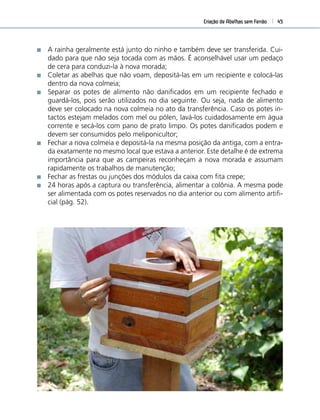 Criação de Abelhas sem Ferrão 45
A rainha geralmente está junto do ninho e também deve ser transferida. Cui-
dado para que não seja tocada com as mãos. É aconselhável usar um pedaço
de cera para conduzi-la à nova morada;
Coletar as abelhas que não voam, depositá-las em um recipiente e colocá-las
dentro da nova colmeia;
Separar os potes de alimento não daniﬁcados em um recipiente fechado e
guardá-los, pois serão utilizados no dia seguinte. Ou seja, nada de alimento
deve ser colocado na nova colmeia no ato da transferência. Caso os potes in-
tactos estejam melados com mel ou pólen, lavá-los cuidadosamente em água
corrente e secá-los com pano de prato limpo. Os potes daniﬁcados podem e
devem ser consumidos pelo meliponicultor;
Fechar a nova colmeia e depositá-la na mesma posição da antiga, com a entra-
da exatamente no mesmo local que estava a anterior. Este detalhe é de extrema
importância para que as campeiras reconheçam a nova morada e assumam
rapidamente os trabalhos de manutenção;
Fechar as frestas ou junções dos módulos da caixa com ﬁta crepe;
24 horas após a captura ou transferência, alimentar a colônia. A mesma pode
ser alimentada com os potes reservados no dia anterior ou com alimento artiﬁ-
cial (pág. 52).
 