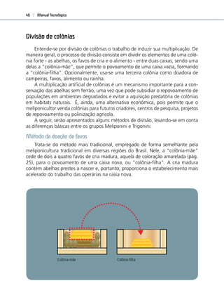 Manual Tecnológico46
Divisão de colônias
Entende-se por divisão de colônias o trabalho de induzir sua multiplicação. De
maneira geral, o processo de divisão consiste em dividir os elementos de uma colô-
nia forte - as abelhas, os favos de cria e o alimento - entre duas caixas, sendo uma
delas a “colônia-mãe”, que permite o povoamento de uma caixa vazia, formando
a “colônia-ﬁlha”. Opcionalmente, usa-se uma terceira colônia como doadora de
campeiras, favos, alimento ou rainha.
A multiplicação artiﬁcial de colônias é um mecanismo importante para a con-
servação das abelhas sem ferrão, uma vez que pode subsidiar o repovoamento de
populações em ambientes degradados e evitar a aquisição predatória de colônias
em habitats naturais. É, ainda, uma alternativa econômica, pois permite que o
meliponicultor venda colônias para futuros criadores, centros de pesquisa, projetos
de repovoamento ou polinização agrícola.
A seguir, serão apresentados alguns métodos de divisão, levando-se em conta
as diferenças básicas entre os grupos Meliponini e Trigonini.
Método da doação de favos
Trata-se do método mais tradicional, empregado de forma semelhante pela
meliponicultura tradicional em diversas regiões do Brasil. Nele, a “colônia-mãe”
cede de dois a quatro favos de cria madura, aquela de coloração amarelada (pág.
25), para o povoamento de uma caixa nova, ou “colônia-ﬁlha”. A cria madura
contém abelhas prestes a nascer e, portanto, proporciona o estabelecimento mais
acelerado do trabalho das operárias na caixa nova.
Colônia-mãe Colônia-filha
10 Metros
Colônia-mãe Colônia-ﬁlha
 