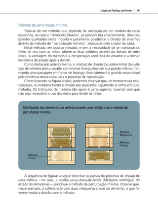 Criação de Abelhas sem Ferrão 49
Método de perturbação mínima
Trata-se de um método que depende da utilização de um modelo de caixa
especíﬁco, no caso a “Fernando Oliveira”, já apresentada anteriormente. Uma das
grandes qualidades deste modelo é justamente possibilitar a divisão de enxames
através do método de “perturbação mínima”, idealizado pelo criador da caixa.
Neste método, em poucos minutos, e sem a necessidade de se manusear os
favos de cria com as mãos, obtém-se duas colônias através da divisão de uma
única. A vantagem do método é a recuperação acelerada do enxame e a menor
incidência de pragas após a divisão.
Como destacado anteriormente, o módulo de divisão (ou sobreninho) daquele
tipo de colmeia possui quatro cantoneiras triangulares em sua porção inferior, for-
mando uma passagem em forma de losango. Esse sistema é o grande responsável
pela eﬁciência dessa caixa para o processo de reprodução.
Como ilustrado na ﬁgura abaixo, podemos observar que, no momento da mul-
tiplicação, os módulos fundo e divisão são separados, repartindo o ninho em duas
metades. Os triângulos de madeira dão apoio à parte superior, fazendo com que
não seja necessário o uso das mãos para dividir os favos.
Distribuição dos elementos da colônia durante uma divisão com o método de
perturbação mínima
Módulo
Melgueira
Colônia-mãe
Colônia-mãe
Colônia-filha
Colônia-filha
Módulo
Divisão
Módulo
Fundo
10 Metros
4
2
3
2
3
4
A sequência de ﬁguras a seguir descreve os passos do processo de divisão de
uma colônia – no caso, a abelha uruçu-boca-de-renda (Melipona seminigra) do
estado do Amazonas – usando-se o método de perturbação mínima. Observe que,
nesse exemplo, a colônia está com duas melgueiras cheias de alimento, o que fa-
vorece muito a divisão com o método.
 