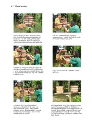 Manual Tecnológico50
Pode-se observar a colônia (ao centro) pronta
para divisão. Do lado esquerdo, localiza-se um
fundo vazio e ao lado direito, um módulo de
divisão também vazio.Acima da colônia que
será dividida está depositada uma tampa avulsa
Com um canivete ou formão, separa-se
cuidadosamente o módulo de divisão do fundo,
dividindo o ninho em duas partes
O módulo de divisão com a metade superior do
ninho e as duas melgueiras são encaixados sobre
o fundo vazio, enquanto o módulo de divisão vazio
é colocado sobre o fundo, que ﬁcou com a metade
inferior do ninho
Com o formão separa-se a melgueira superior
da inferior
A parte que ﬁcou com o fundo original,
contendo a metade inferior do ninho, e o
módulo de divisão vazio (à direita) recebe a
melgueira superior.A tampa avulsa é colocada
sobre a melgueira inferior, que ﬁcou na outra
metade da colônia dividida
Ao ﬁnal da divisão temos duas colônias: a primeira
com um fundo vazio, módulo de divisão com a
metade superior do ninho e uma melgueira cheia de
potes de alimento (lado esquerdo). Na outra, está
alojado o fundo com a metade inferior do ninho,
um módulo de divisão vazio e outra melgueira cheia
(lado direito)
 