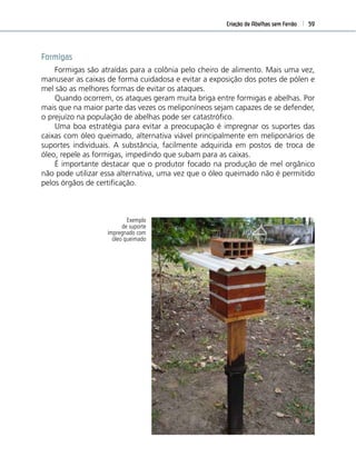 Criação de Abelhas sem Ferrão 59
Formigas
Formigas são atraídas para a colônia pelo cheiro de alimento. Mais uma vez,
manusear as caixas de forma cuidadosa e evitar a exposição dos potes de pólen e
mel são as melhores formas de evitar os ataques.
Quando ocorrem, os ataques geram muita briga entre formigas e abelhas. Por
mais que na maior parte das vezes os meliponíneos sejam capazes de se defender,
o prejuízo na população de abelhas pode ser catastróﬁco.
Uma boa estratégia para evitar a preocupação é impregnar os suportes das
caixas com óleo queimado, alternativa viável principalmente em meliponários de
suportes individuais. A substância, facilmente adquirida em postos de troca de
óleo, repele as formigas, impedindo que subam para as caixas.
É importante destacar que o produtor focado na produção de mel orgânico
não pode utilizar essa alternativa, uma vez que o óleo queimado não é permitido
pelos órgãos de certiﬁcação.
Exemplo
de suporte
impregnado com
óleo queimado
 