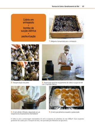 Técnicas de Coleta e Beneﬁciamento de Mel 83
Coleta em
entreposto
+
bomba de
sucção elétrica
+
pasteurização
2. Desoperculação dos potes
1. Melgueira transportada para o entreposto
3. Organização geral dos equipamentos de coleta e sucção do mel
com o aspirador elétrico
4. O mel colhido é ﬁltrado e depositado em um
recipiente de armazenamento intermediário8
5. O mel é parcialmente envasado e pasteurizado
8. Indica-se para a armazenagem intermediária do mel os recipientes de polietileno do tipo Milkan®. Esses recipientes
geralmente são usados para o transporte de leite, e são aprovados pelo Ministério da Agricultura.
 