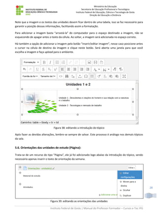 Ministério da Educação
Secretaria de Educação Profissional e Tecnológica
Instituto Federal de Educação, Ciência e Tecnologia de Goiás
Direção de Educação a Distância
Instituto Federal de Goiás | Manual do Professor Formador – Cursos e-Tec IFG
28
Note que a imagem e os textos das unidades devem ficar dentro de uma tabela, isso se faz necessário para
garantir a posição dessas informações, facilitando assim a formatação.
Para adicionar a imagem basta “arrastá-la” do computador para o espaço destinado a imagem, não se
esquecendo de apagar antes o texto da célula. Ao soltar, a imagem será adicionada no espaço correto.
Há também a opção de adicionar a imagem pelo botão “inserir/editar imagem”, nesse caso posicione antes
o cursor na célula de destino da imagem e clique neste botão. Será aberta uma janela para que você
escolha a imagem e faça upload para o ambiente.
Figura 38: editando a introdução do tópico
Após fazer as devidas alterações, lembre-se sempre de salvar. Este processo é análogo nos demais tópicos
da sala.
5.6. Orientações das unidades de estudo (Página):
Trata-se de um recurso do tipo "Página", ele já foi adicionado logo abaixo da introdução do tópico, sendo
necessário apenas inserir o texto de orientação da semana.
Figura 39: editando as orientações das unidades
 