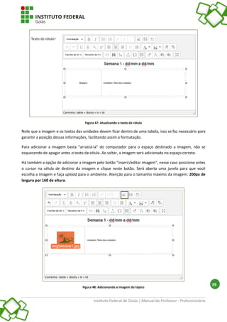 Instituto Federal de Goiás | Manual do Professor - Profuncionário
39
Figura 47: Atualizando o texto do rótulo
Note que a imagem e os textos das unidades devem ficar dentro de uma tabela, isso se faz necessário para
garantir a posição dessas informações, facilitando assim a formatação.
Para adicionar a imagem basta “arrastá-la” do computador para o espaço destinado a imagem, não se
esquecendo de apagar antes o texto da célula. Ao soltar, a imagem será adicionada no espaço correto.
Há também a opção de adicionar a imagem pelo botão “inserir/editar imagem”, nesse caso posicione antes
o cursor na célula de destino da imagem e clique neste botão. Será aberta uma janela para que você
escolha a imagem e faça upload para o ambiente. Atenção para o tamanho máximo da imagem: 200px de
largura por 160 de altura.
Figura 48: Adicionando a imagem do tópico
 