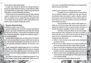 restosdeanimaisematériaorgânicaflutuante.
As espécies mais conhecidas dos ribeirinhos são a tartaruga-verdadeira ou
tartaruga-da-amazônia(Podocnemisexpansa),otracajá(Podocnemisunifilis),
oiaçáoupitiú(Podocnemissextuberculata),ocalalumãouirapuca(Podocnemis
erytrocephala)eocabeçudo(Peltocephalusdumerilianus).
Omanejoenvolveumasériedeprocedimentosbastantesimples,destinados
a garantir o nascimento do maior número possível de filhotes. Para isso eles
devem ser protegidos até que sua carapaça fique dura, para poderem resistir
aos seus inimigos naturais: aves (gaivotas e gaviões), peixes (piranhas, traíras,
aruanãs)eoutrosseresaquáticos(sanguessugasejacarés).
PassosparaoManejodeQuelônios:
1) Identificar e proteger os locais de desova.
O período de nidificação pode variar de junho a dezembro, dependendo da
espéciequesequermanejar.Aatividadedebuscapelosninhosdeveseriniciada
bemcedo,antesdeodiaclarear. Osninhospodemestarlocalizadosdamargem
para o meio da praia ou próximos à vegetação. Para encontrá-los, é preciso se-
guiraspegadasdoquelônio.
Tartarugas:Deixamosmaioresrastros,comdistânciade40a50centímetros
entreasmarcasdaspatas.Desovamemgruposepreferemfazerseusninhosna
areia, a 80 centímetros de profundidade. Cada ninhada possui entre 90 e 145
ovos, que são grandes e têm formato arredondado, com casca branca e meio-
dura.
Tracajás:Adistânciaentreasmarcasdaspatasvariade14a25centímetros.
Preferem desovar sozinhos e escondidos. Seus ninhos podem ser encontrados
nobarranco,naareia,entreasfolhasounomeiodomato.Põememmédia22
ovos de casca dura, branco-rosada ou amarelada, a uma profundidade de 25
centímetros.
Iaçás: Deixam os menores rastros, com distância entre pegadas de 13 cen-
tímetros. Desovam em grupos de dois a quatro animais. Colocam cerca de 17
ovos na areia, a uma profundidade de 20 centímetros. Os ovos possuem forma
ovóide,decascamaismoleebranca.
2) Coletar os ovos e transportar os ninhos para lugares seguros.
	 O transplante dos ovos é realizado de forma a evitar perdas de
ovos por inundações (repiquetes), impedir que os ovos sejam destruídos
por predadores naturais como gaivotas e gaviões e dificultar a coleta de
ovos por pessoas não autorizadas, fazendo com que os filhos nascidos con-
sigam endurecer seus cascos, aumentando as suas chances de sobrevivên-
cia nos primeiros anos de vida.
	 Em praias afastadas de vilas e cidades é melhor proteger as ni-
nhadas em vez de tirá-las do lugar. Onde existem muitos ninhos deve-se
proteger todo o tabuleiro. Em locais com poucas ninhadas, estas devem ser
marcadas com piquetes e protegidas com tela ou cercadas com galhos.
	 Parafacilitaradevoluçãodosfilhotesaosseuslocaisdeorigem,
todasasinformaçõessobreotransplantedascovasdevemseranotadas:(i)
data de coleta dos ovos; (ii) nome da praia; (iii) espécie que desovou; (iv)
número de ovos; (v) profundidade da cova; (vi) distância da água.
Procedimentos para coleta de ovos:
a)	 Verificar os ninhos em perigo, ou seja, aqueles sujeitos a inundações e
aos ataques de animais;
b)	 Abrirascovascomcuidado,retirandoosovosdevagarenamesmaposi-
ção em que estavam dentro do ninho. Se forem virados, eles goram;
c)	 Limpar os ovos de todas as impurezas e colocá-los em caixas de isopor;
d)	 Evitar que os ovos balancem, colocando as ninhadas em fôrmas de ovos
de galinha ou forrando a caixa com camadas de areia ou de capim seco;
e)	 Separarumninhodooutro,escrevendoadata,espécie,númerodeovos
e a praia coletada. Cada caixa de isopor de 25 litros comporta de quatro
a cinco ninhadas de tracajá;
f)	 Fazer o transporte até, no máximo, nove horas da manhã.
EscoladaFlorestaRobervalCardoso–Acre
210
ManualdoTécnicoFlorestal
211
 